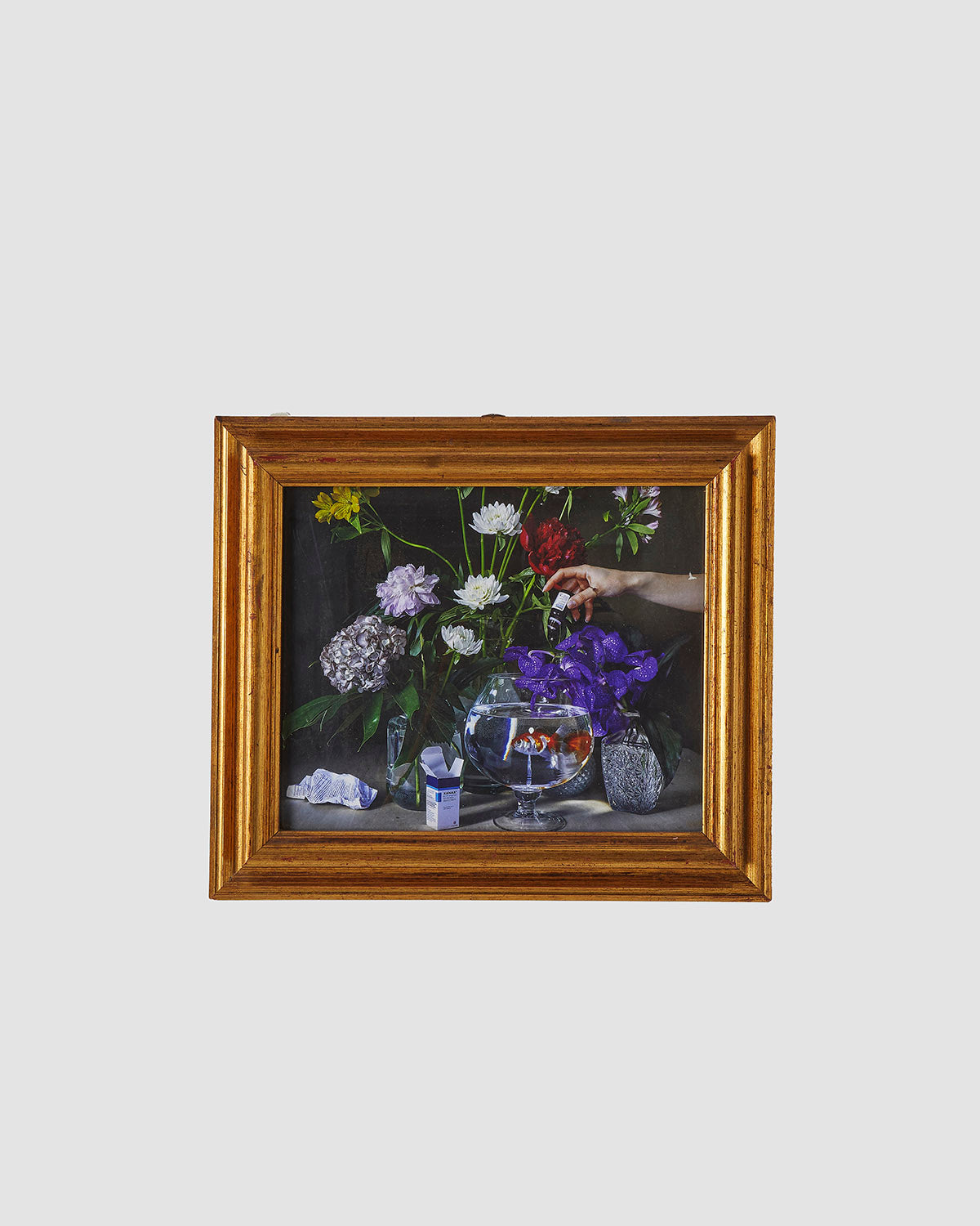 Non è la vita che ti meriti ma devi stare tranquillo. (FRAME)