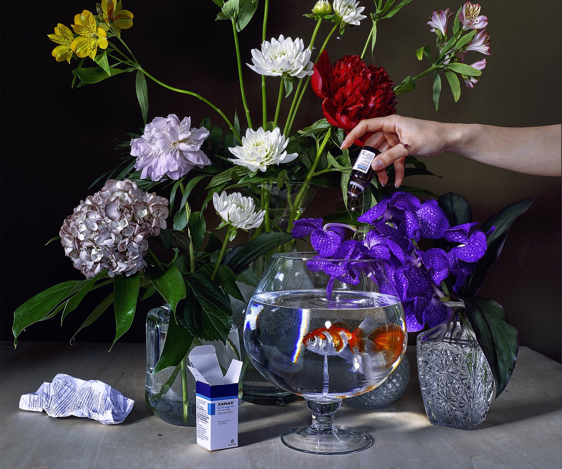 Non è la vita che ti meriti ma devi stare tranquillo. (FRAME)