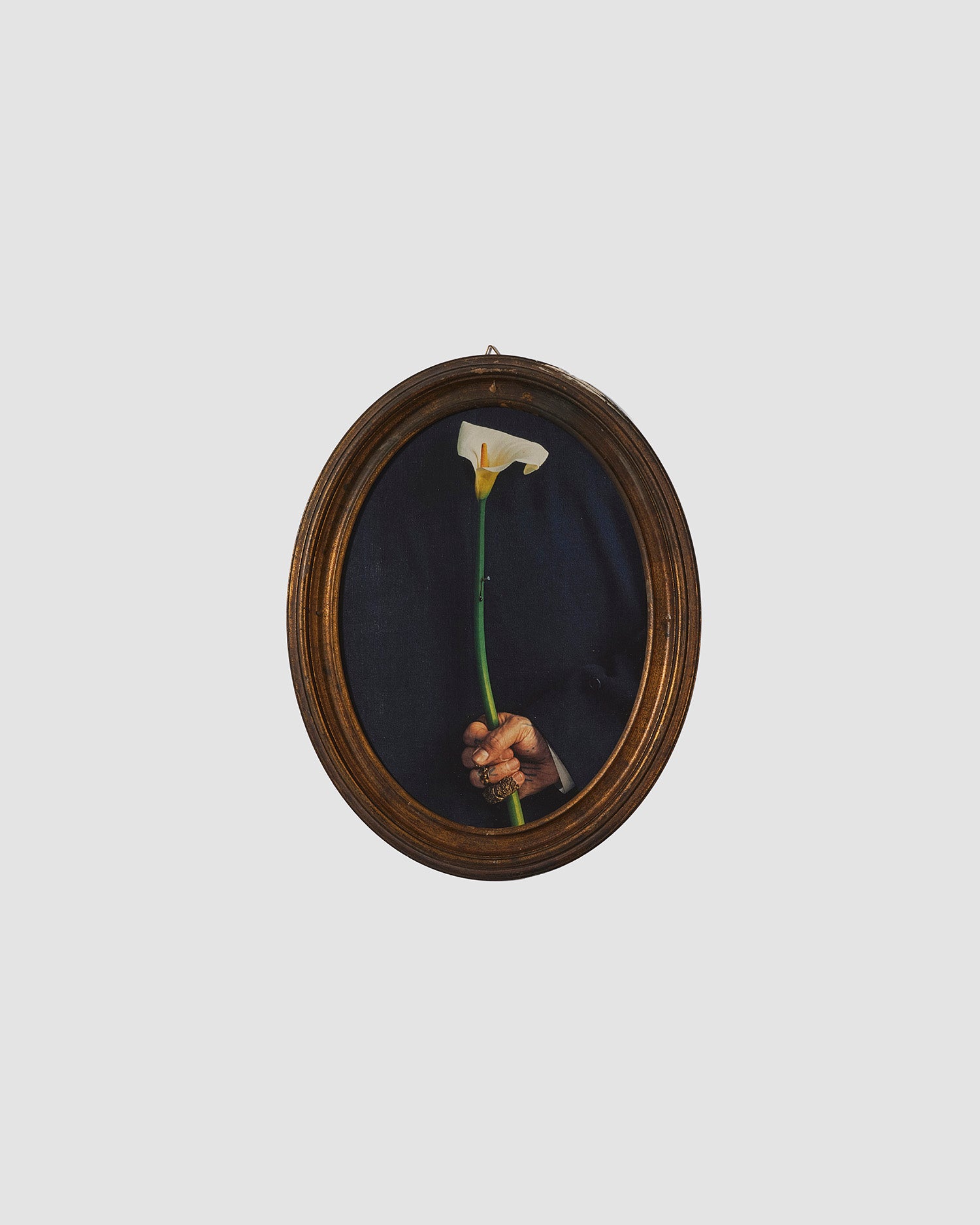 abbine cura. (FRAME)