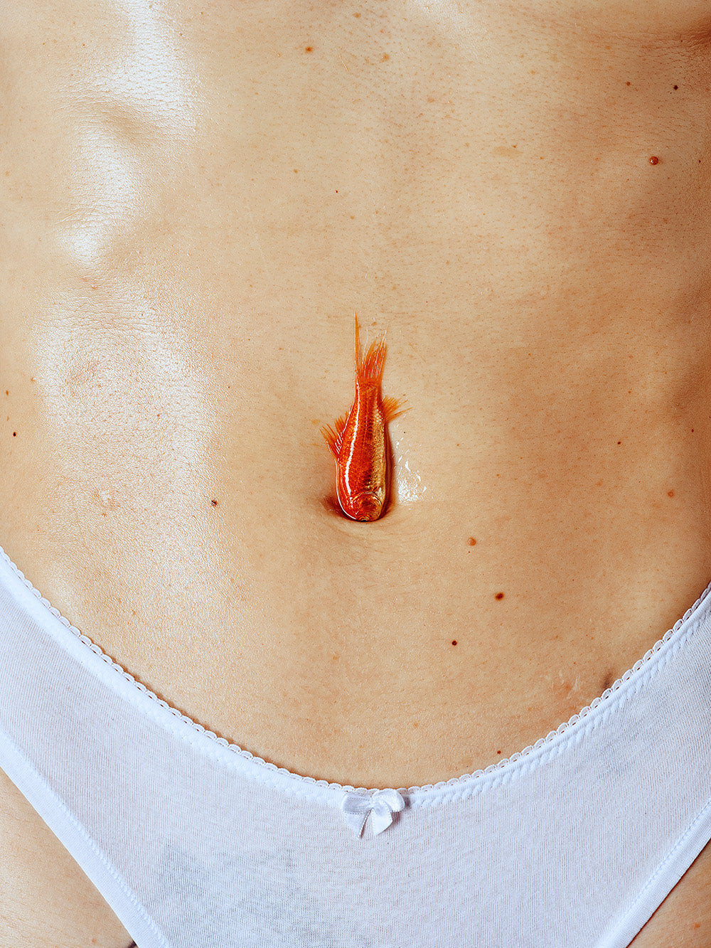 "mentre mi infilo in sogni assurdi."