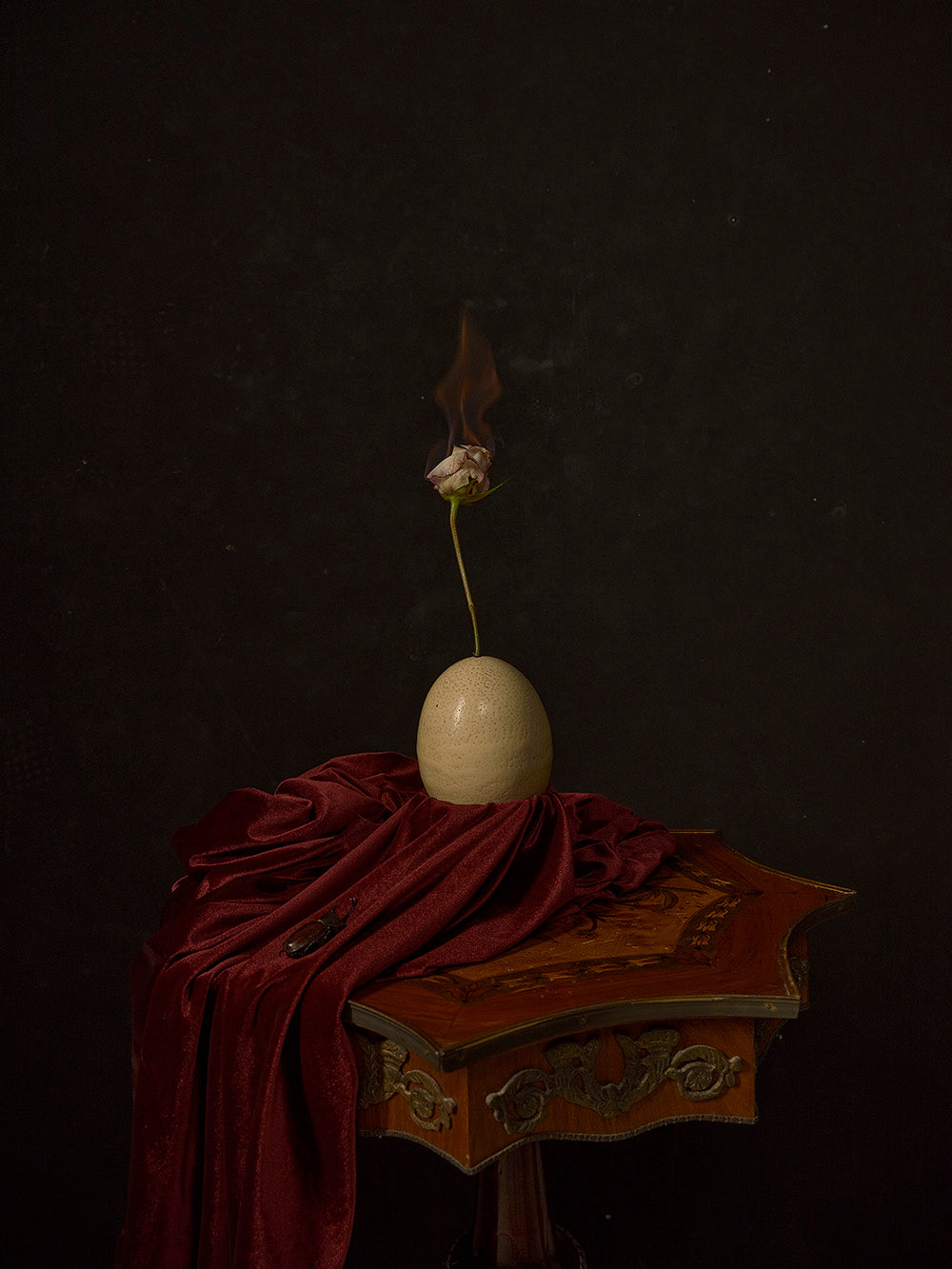 "Prometeo" // Natura Morta (#6)