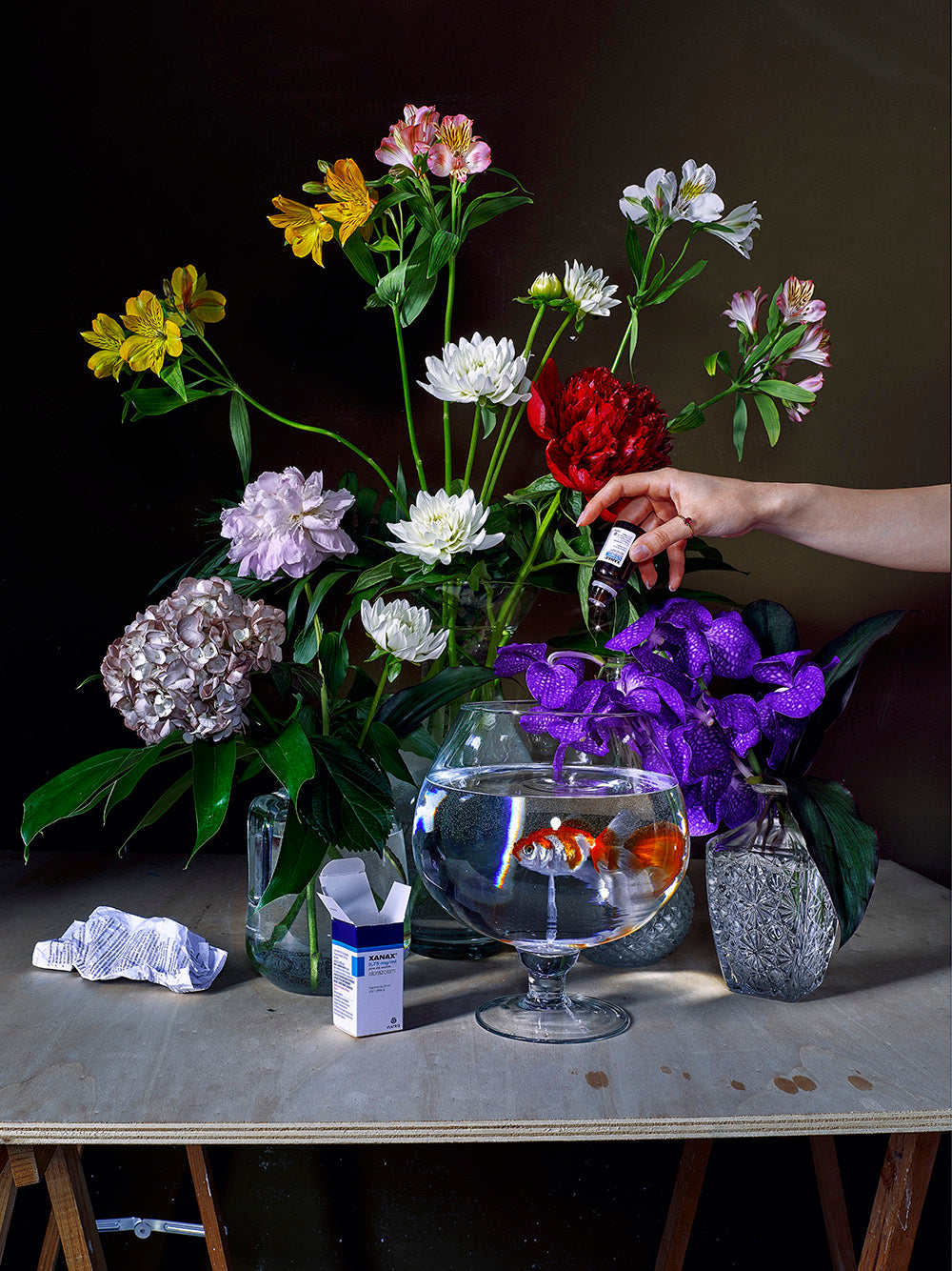 "non è il mondo che ti Meriti." // Natura Morta (#1)