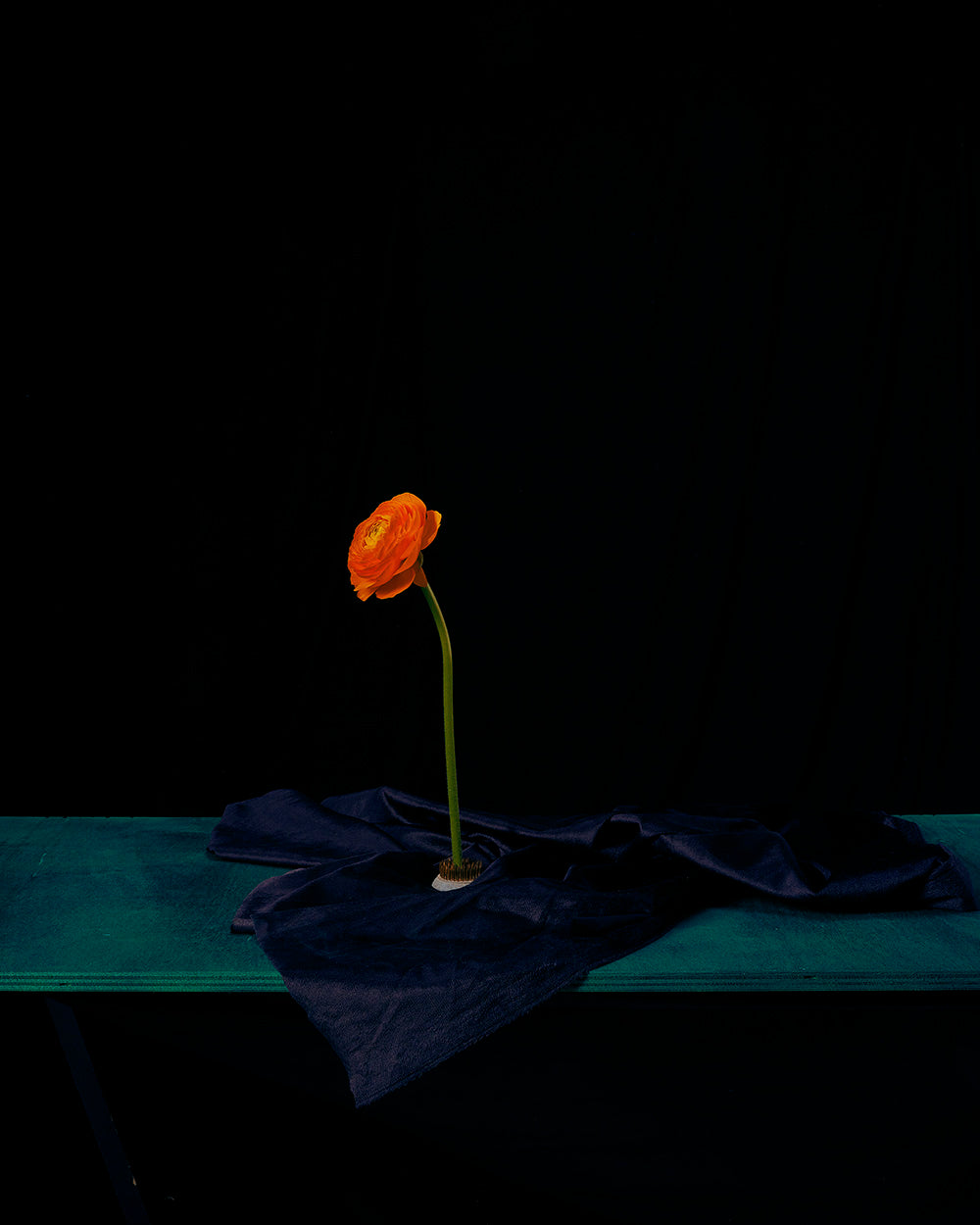 "Natura Morta" (#8) pt.7