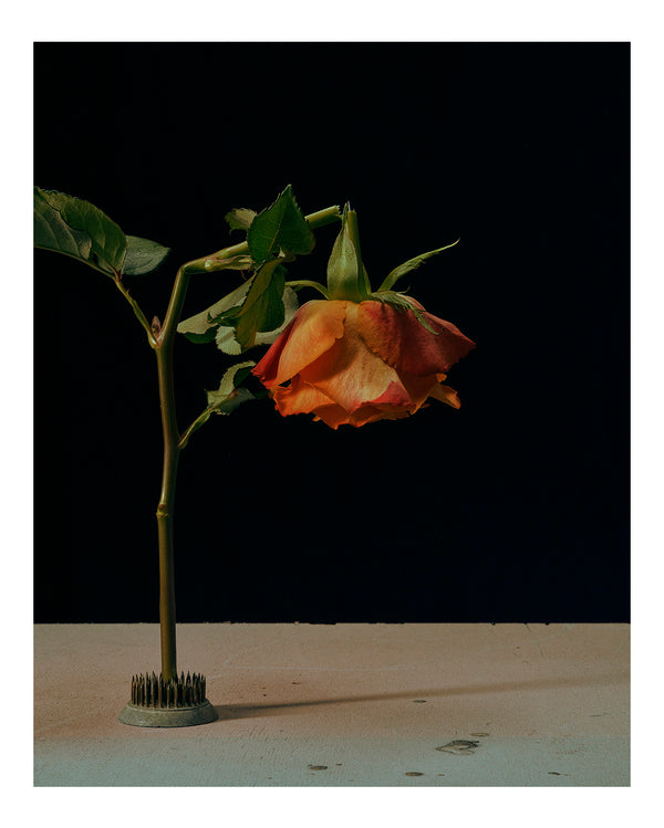"Natura Morta" (#8) pt.8