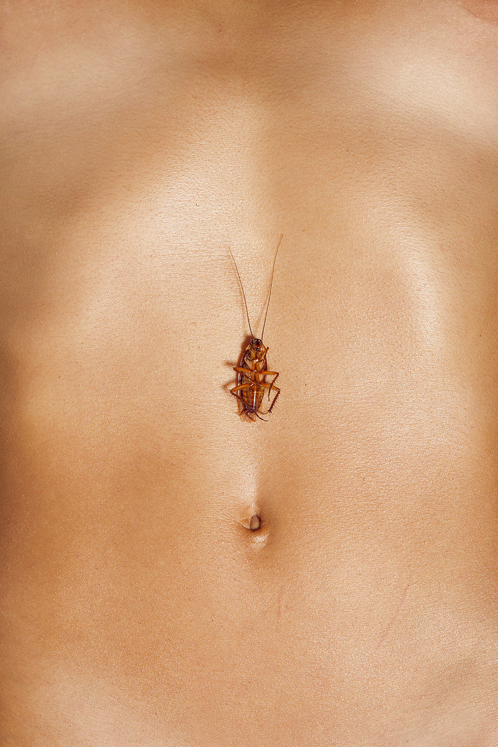 "io che muoio innamorato su di te."