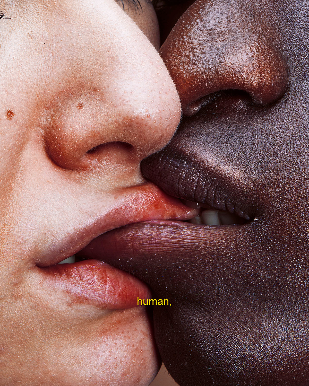 THEBaaci - human,