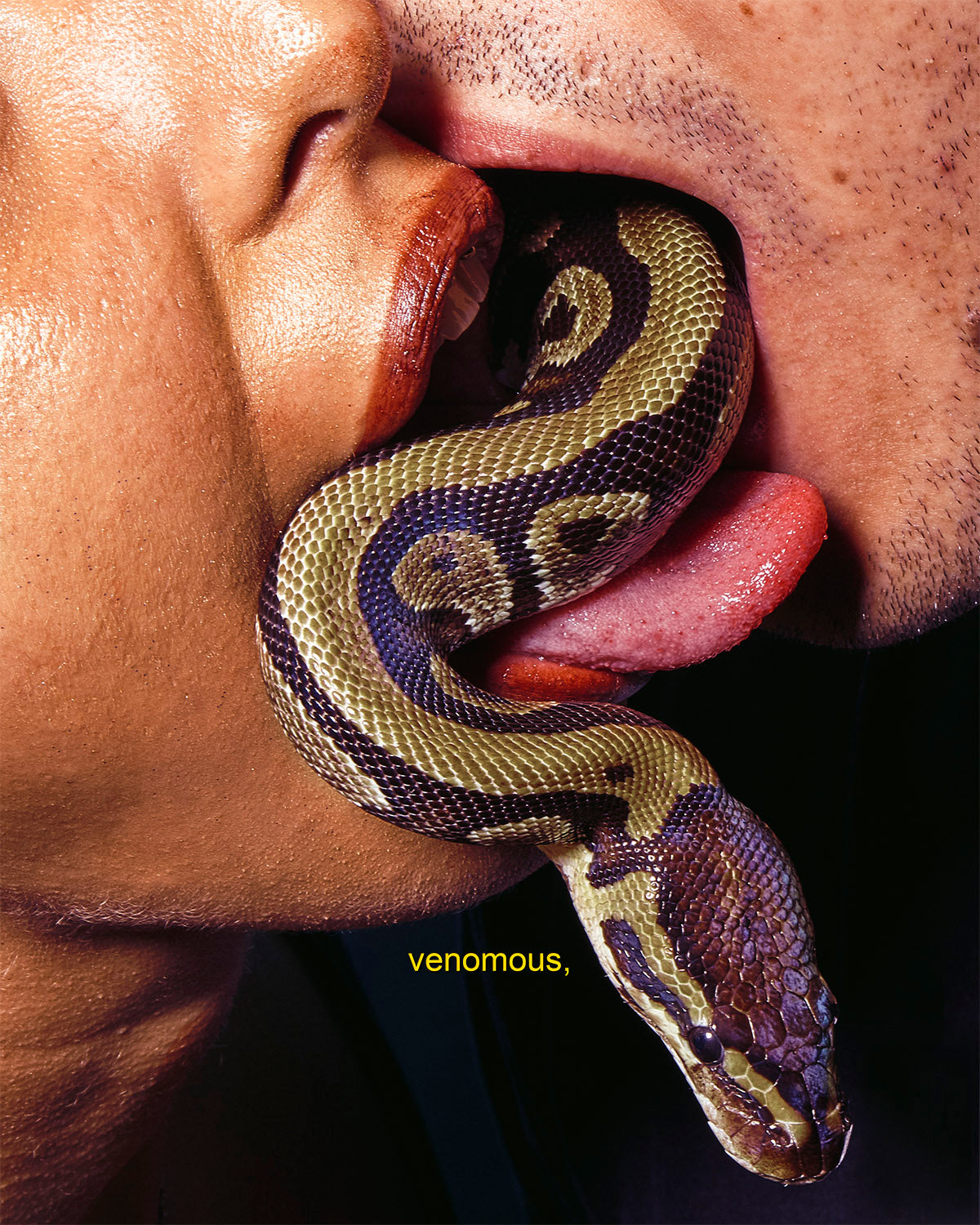 THEBaaci - venomous,
